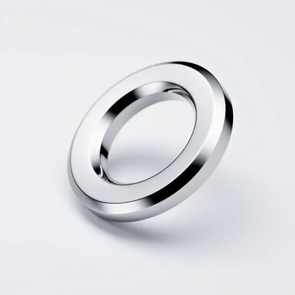 Metal Pul - Paslanmaz Çelik (Yassı Conta)